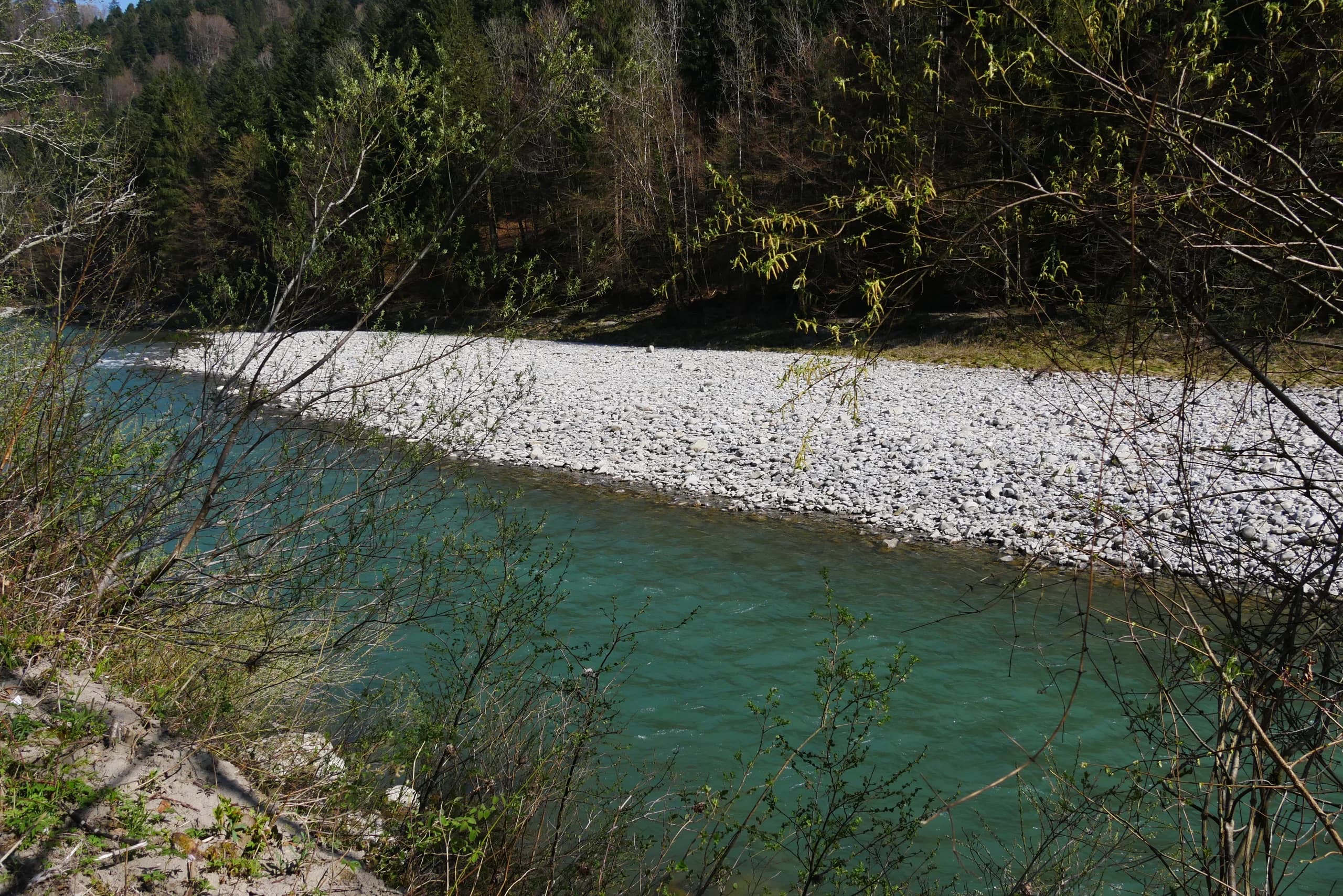 Margit Johannsen Career