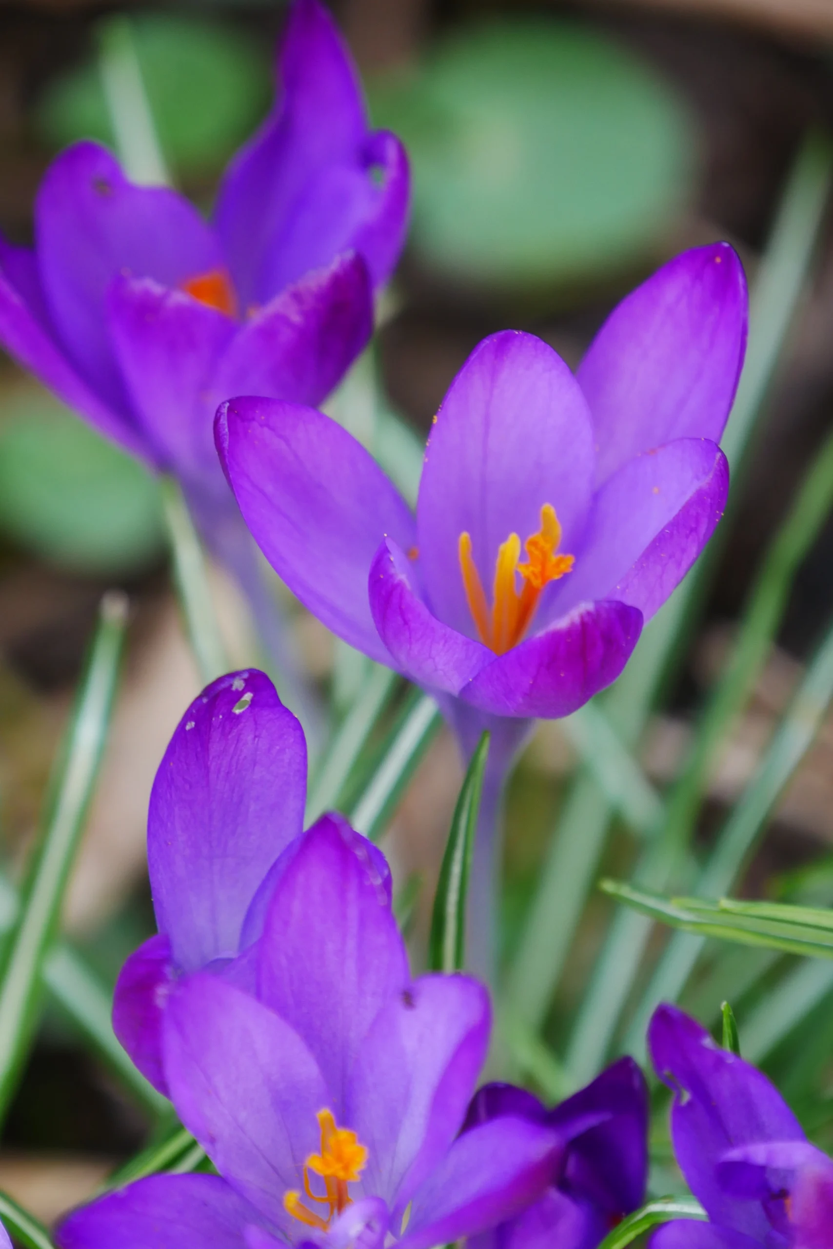 Margit Johannsen Training